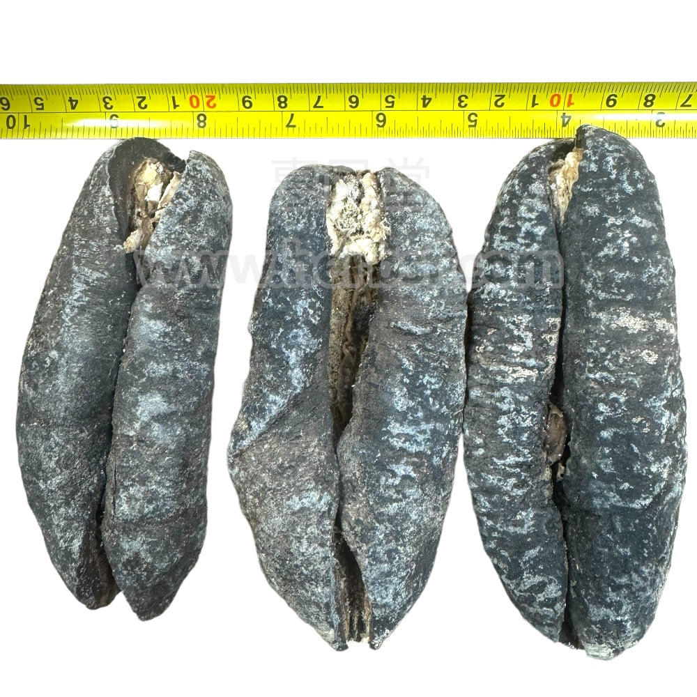 HMT Australian Sea Cucumbers Dried  400g Zhu Po Shen 3-4 Pcs