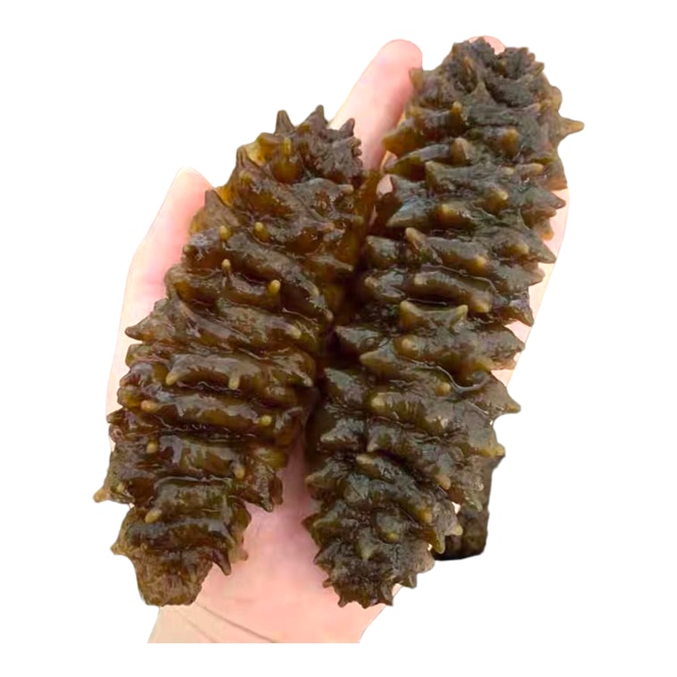 HMT South America Wild Deep Sea Cucumbers 400g Luo Wen